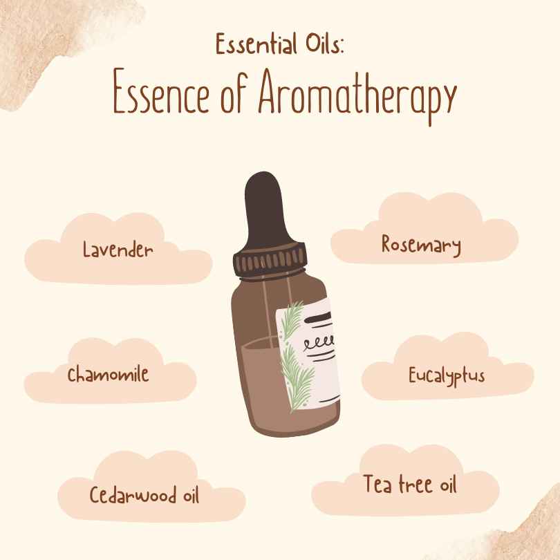 Exploring Various Essential Oils for Aromatherapy - Nourish Your Senses
