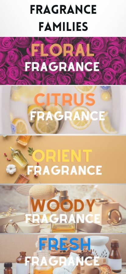 The magic of discovering your favorite scent family and elevating your fragrance game with informed choices.