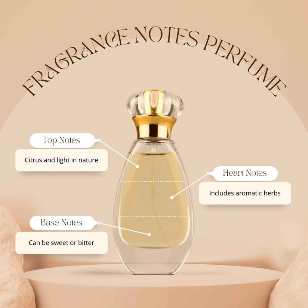 Explore the enchanting fragrance notes that compose a perfume's symphony.