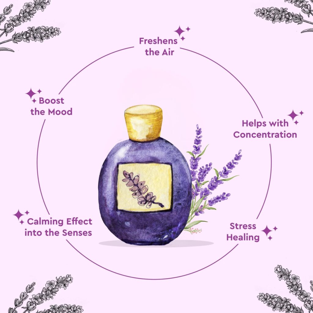 Lavender Fragrances