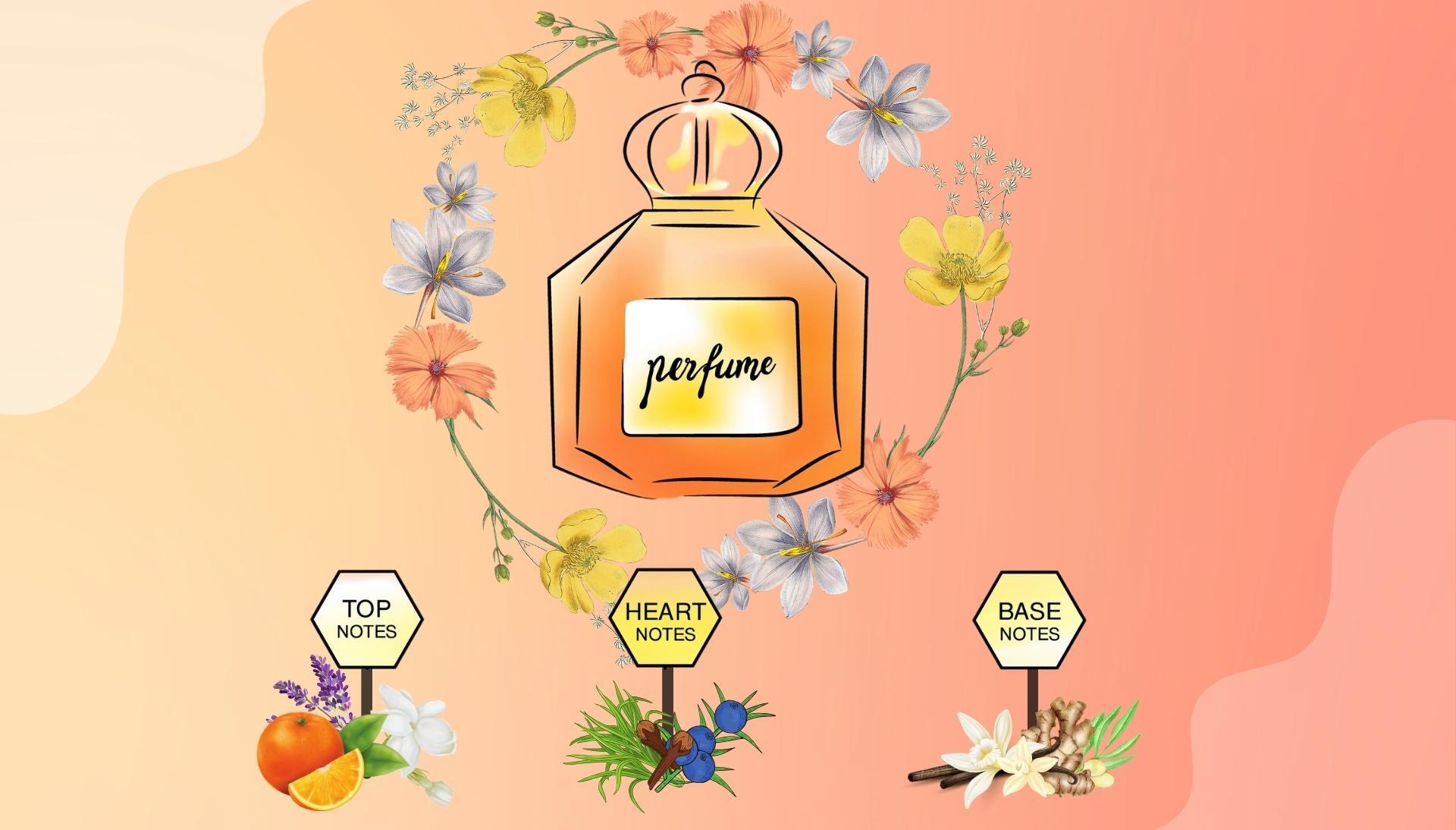 perfume-notes-you-need-to-know-about-best-tips