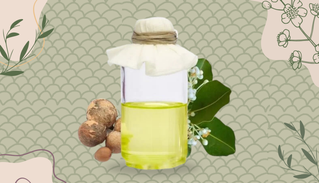 A bottle of Tamanu oil with fresh Tamanu nuts and leaves.