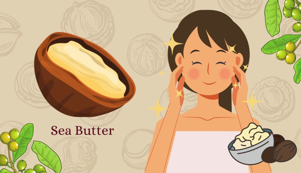 Illustration of shea butter and its application on the skin.